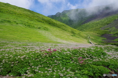 秋田駒ヶ岳