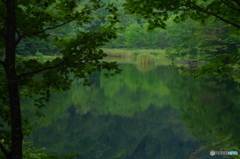 お気に入りの場所♪