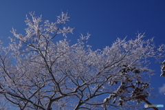 今朝一番の青空♪