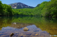 初夏の赤沼♪