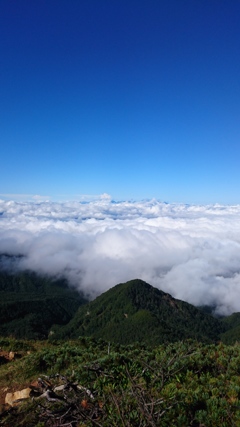 雲の海