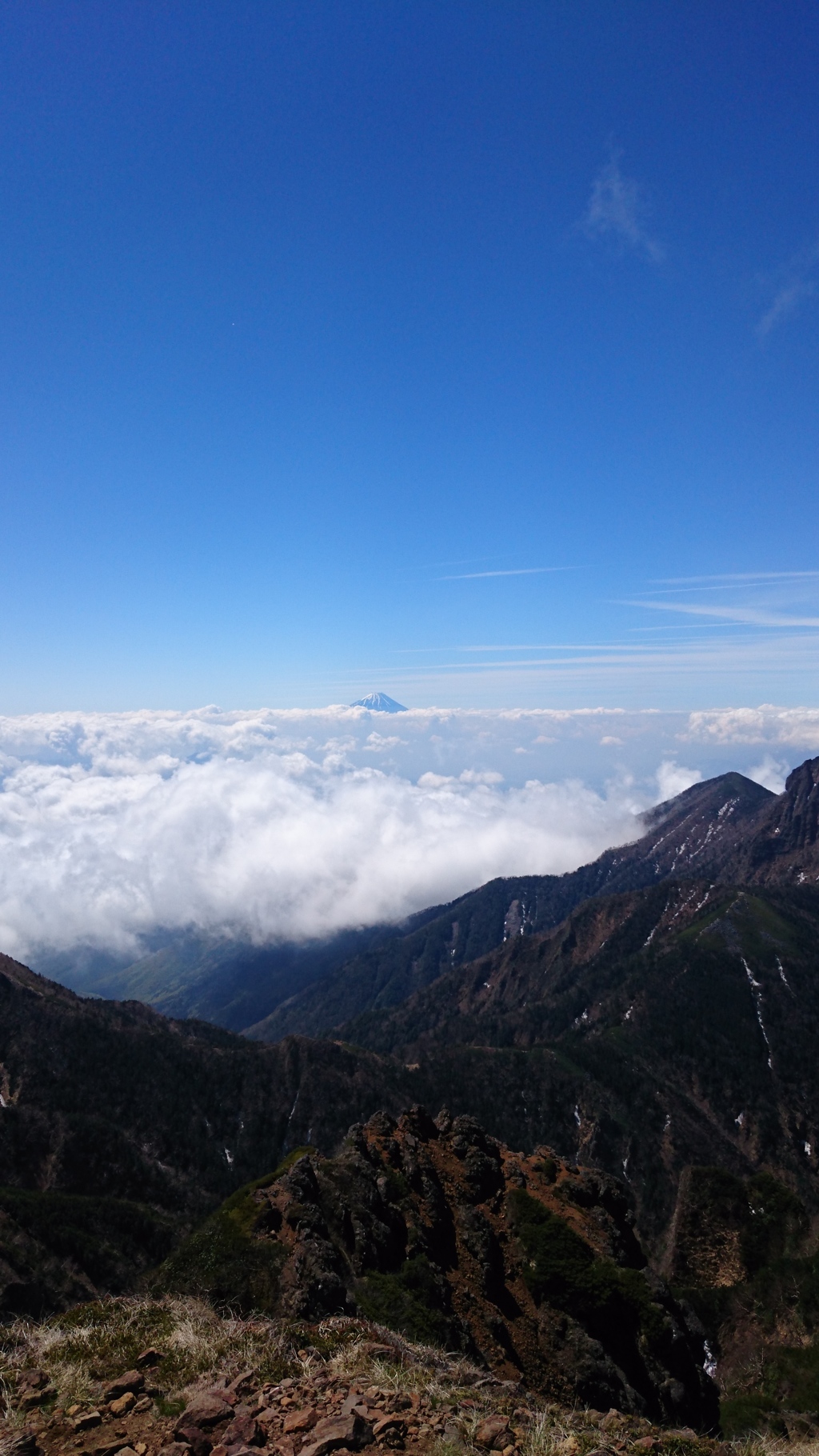 Mt.富士