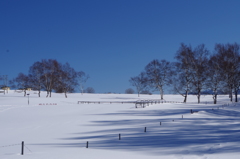 雪の牧場