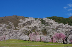 IMGP0120