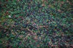 苔