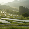 大山千枚田