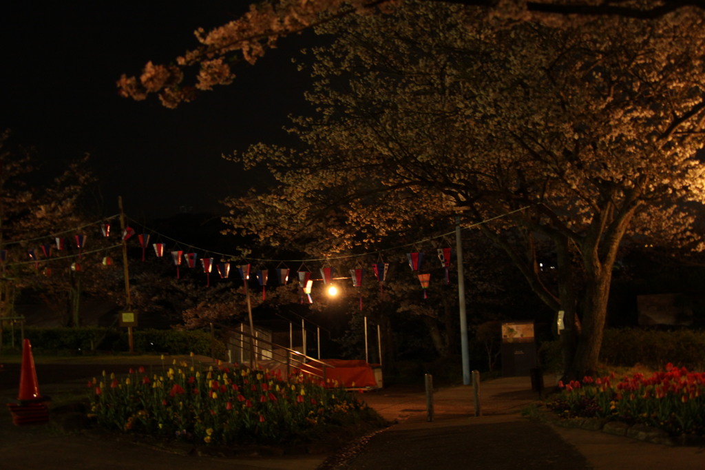 塚山公園