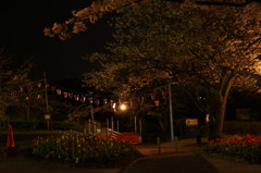 塚山公園