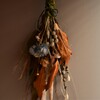 Dried flower color