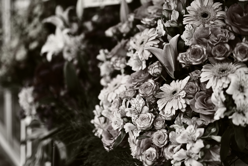 Monochrome flower