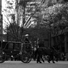 馬車1