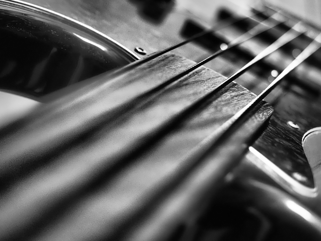 FRETLESS BASS