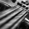 FRETLESS BASS