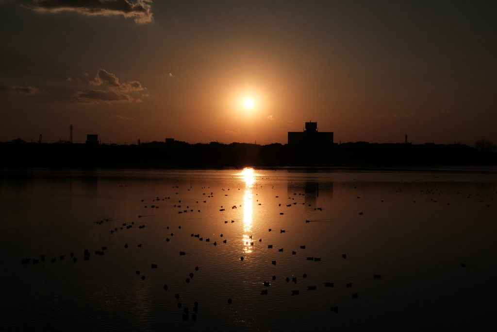 干潟の夕方Ⅱ