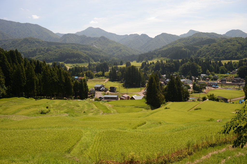 北五百川の棚田