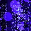 光の花の庭