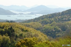 春の瀬戸内
