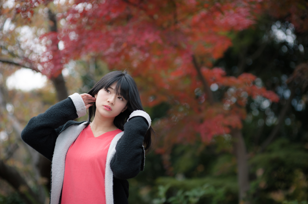 今秋の頂き　ポートレート　紅葉色に・・・