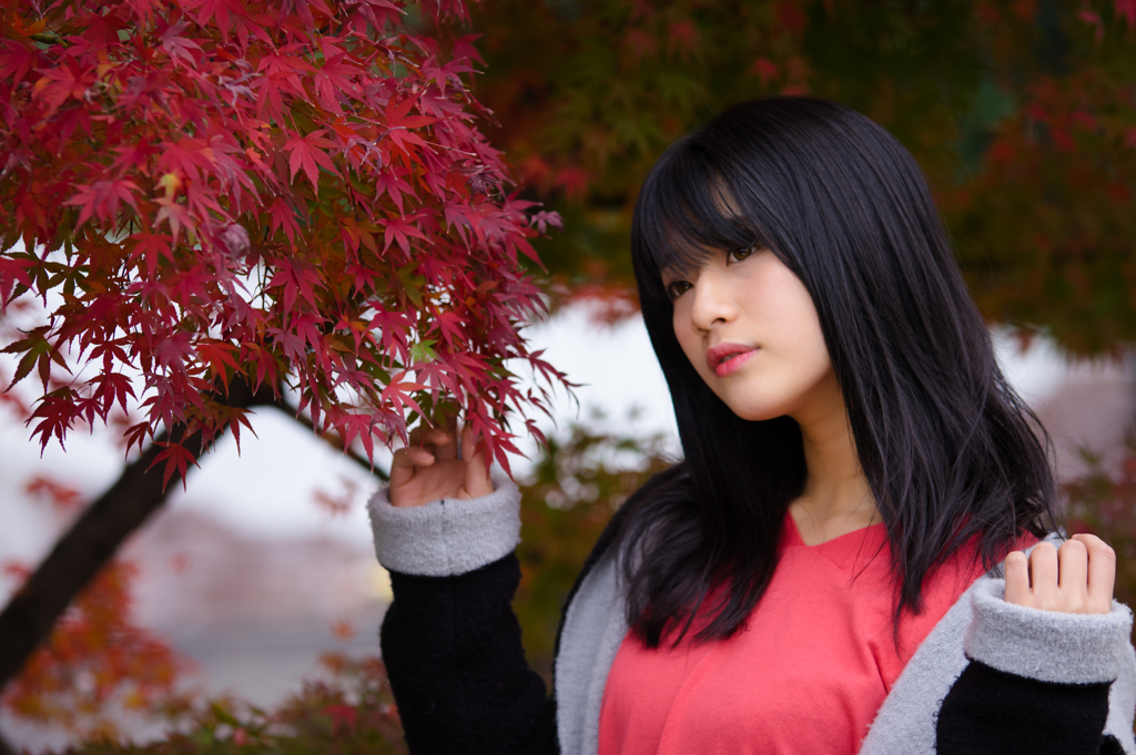 今秋の頂き　ポートレート　深紅の想い・・・