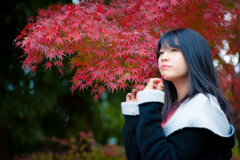 今秋の頂き　ポートレート　燃る深紅は・・・