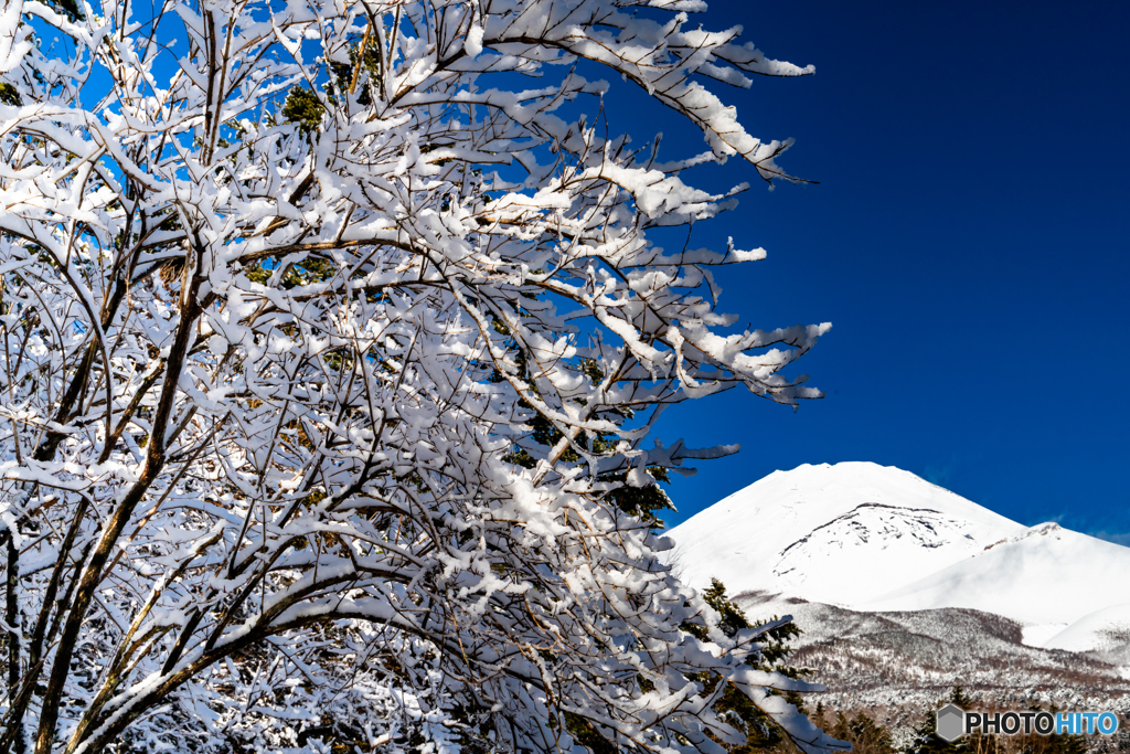 富士山雪景色－１