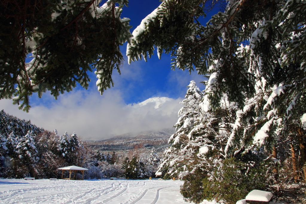 富士山に大雪降る