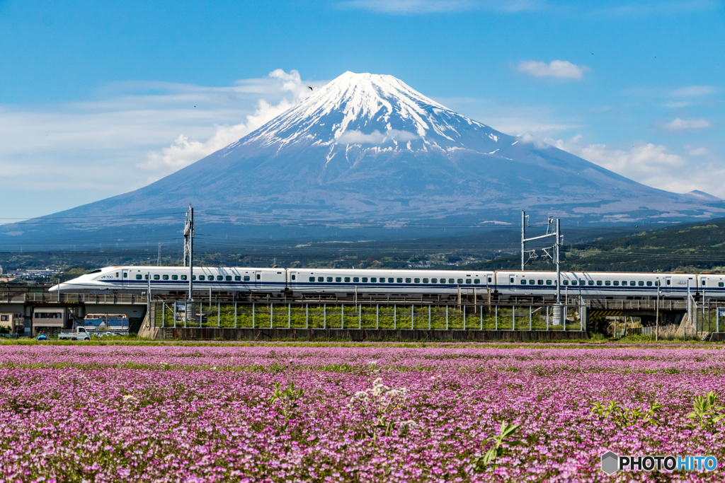 れんげ畑に新幹線