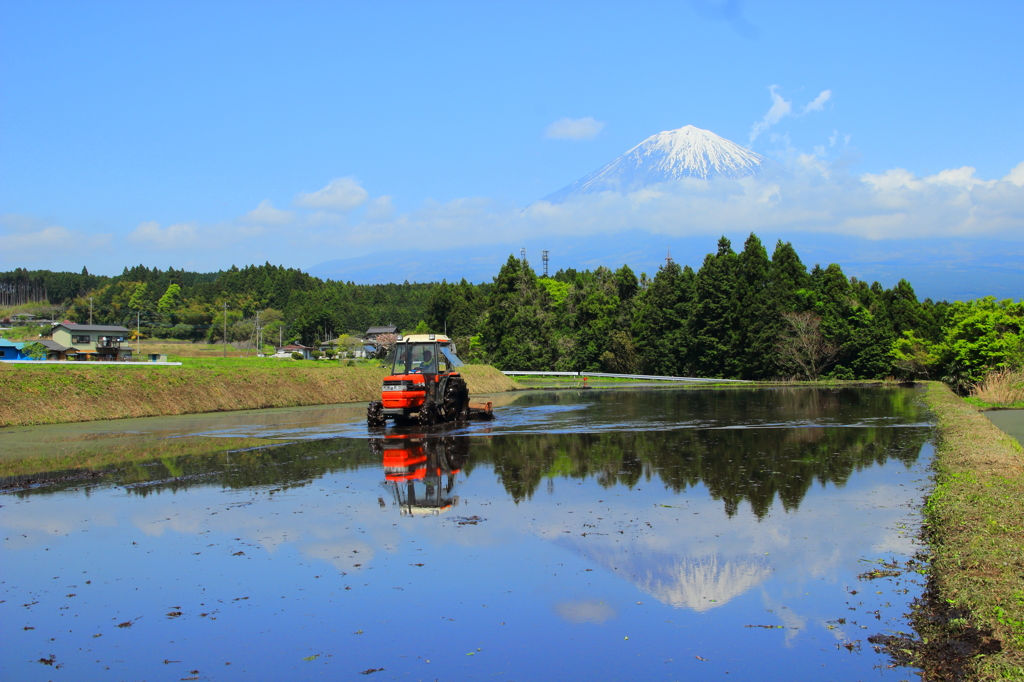 田植え間近の田んぼと富士山