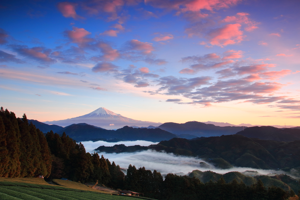雲海と富士山－３