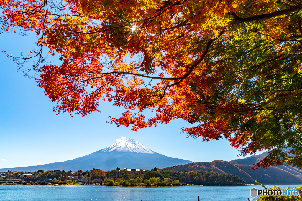 紅葉と富士山－４