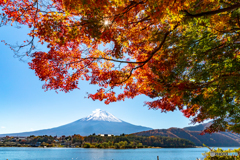 紅葉と富士山－４