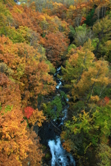 谷底の紅葉