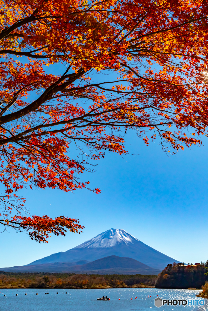 紅葉と富士山－１
