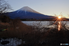 田貫湖の朝日
