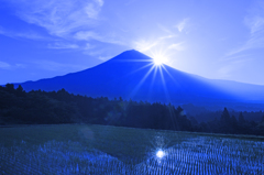 田んぼと富士山