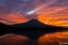 燃える田貫湖