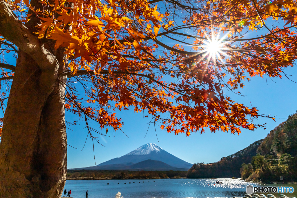 紅葉と富士山－２
