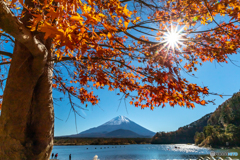 紅葉と富士山－２