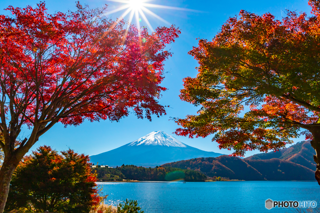 紅葉と富士山－３