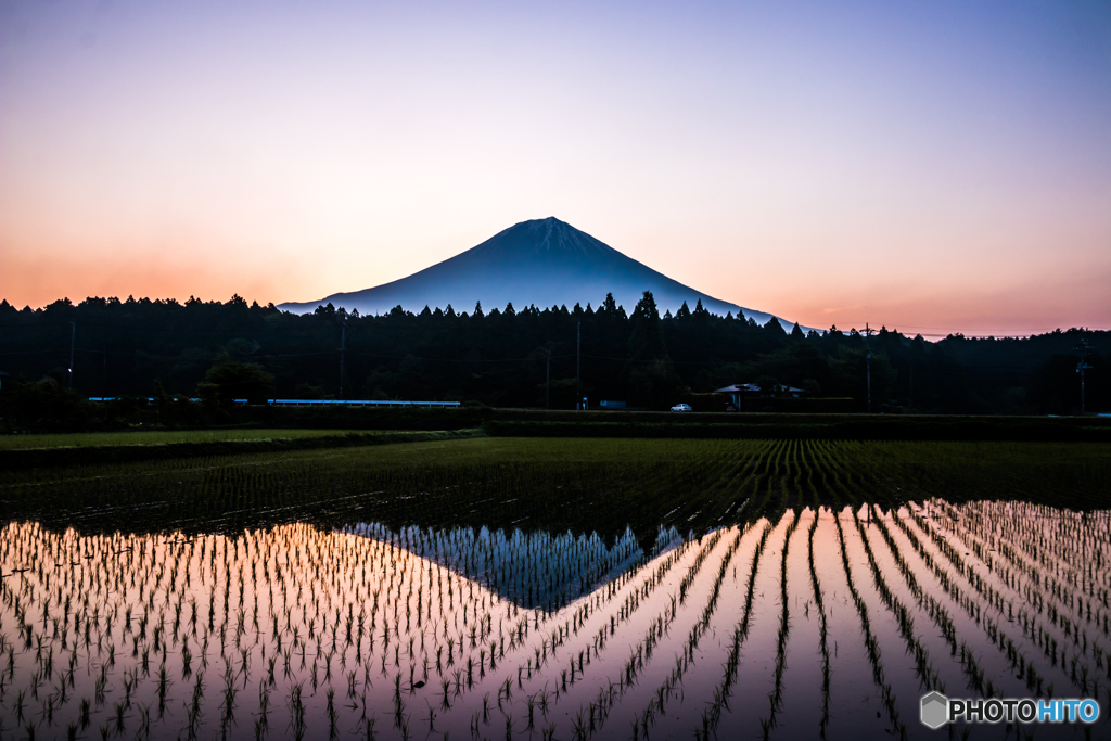 田んぼが染まる