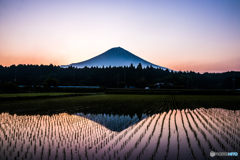 田んぼが染まる