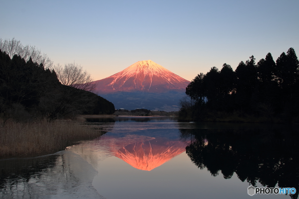 田貫湖の紅富士