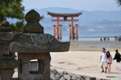 厳島神社の大鳥居