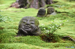 三千院のお地蔵さん