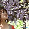 藤棚の美女
