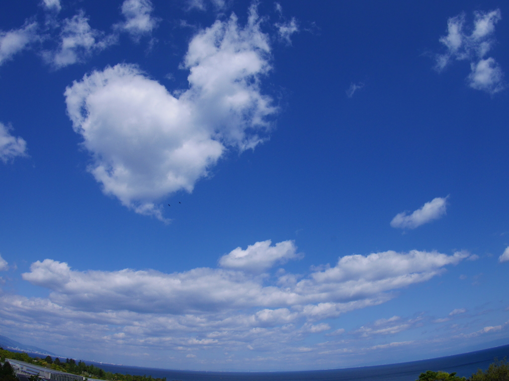 空と海と魚眼