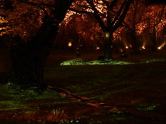 京都夜景