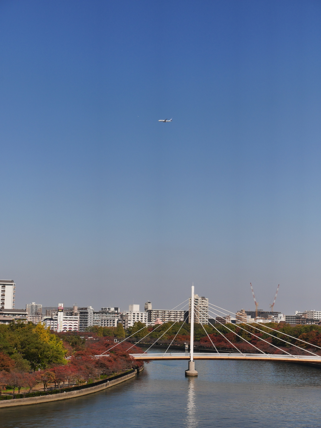 大阪の紅葉、飛行機を添えて