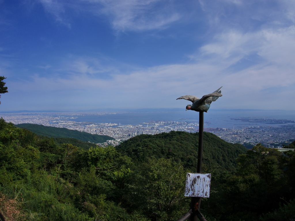 山の日、なので‼