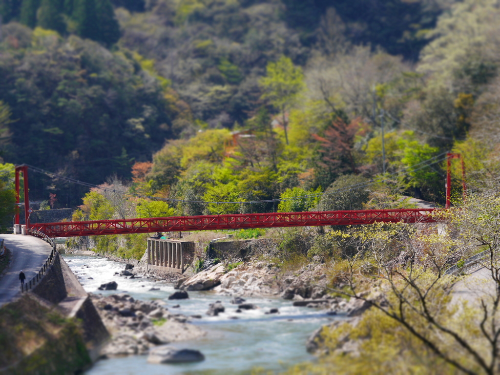 つり橋